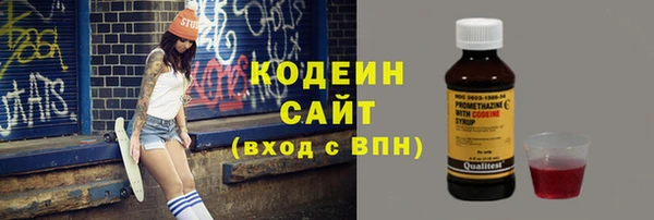 spice Няндома