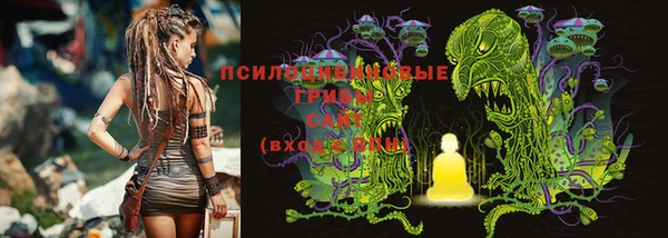 spice Няндома