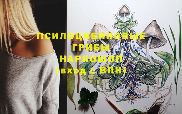 марки nbome Нязепетровск